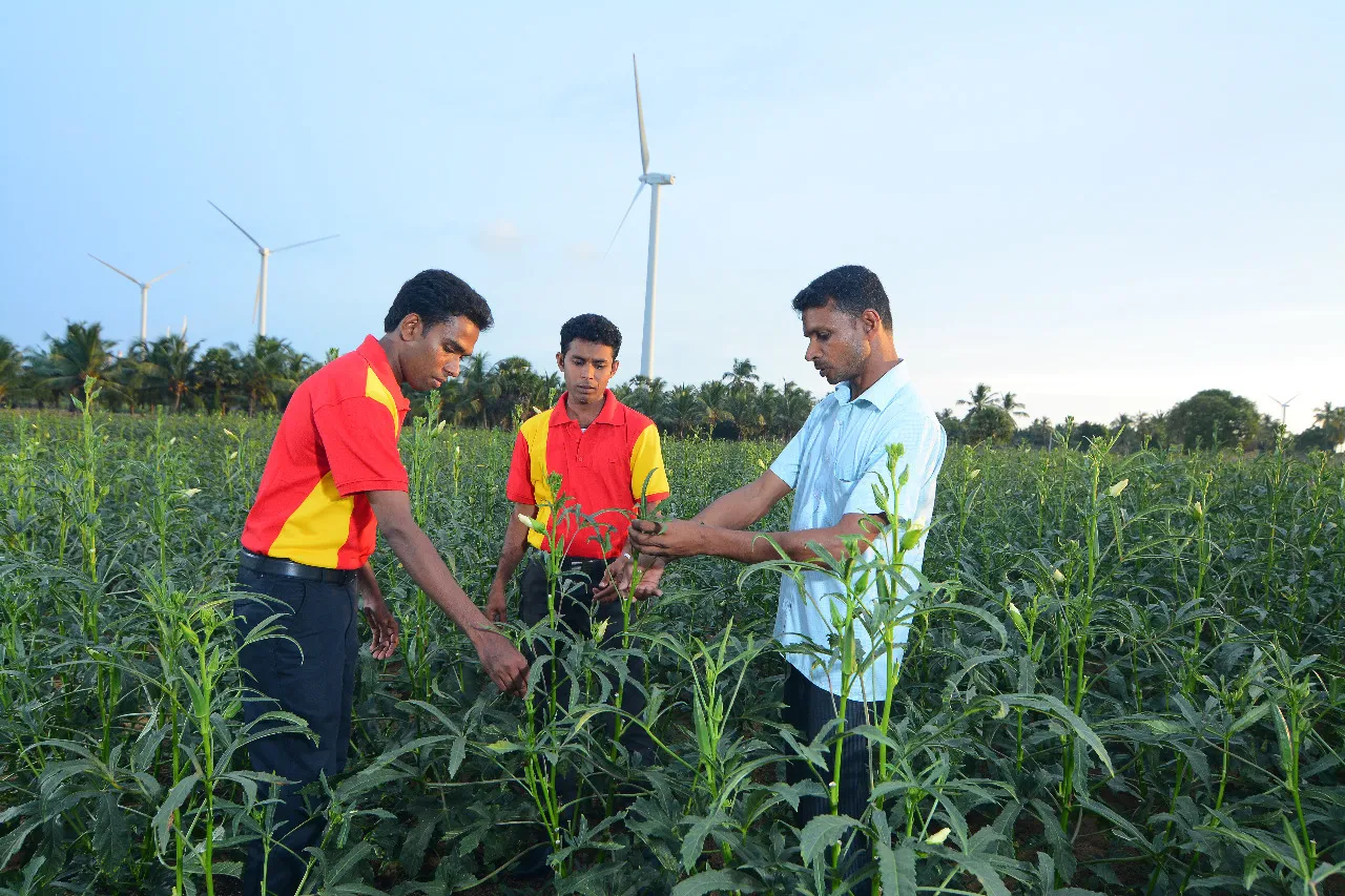 One of the more successful firms in partnering  with smallholder farmers